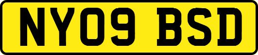 NY09BSD