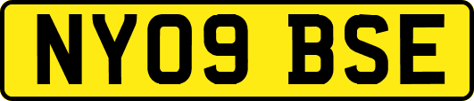 NY09BSE