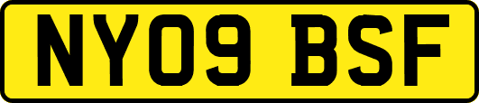 NY09BSF