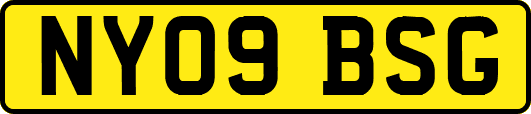 NY09BSG