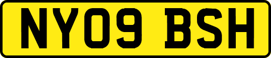 NY09BSH