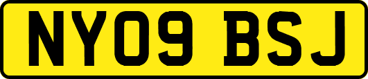 NY09BSJ