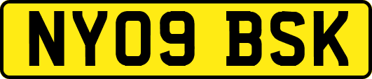 NY09BSK