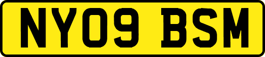 NY09BSM