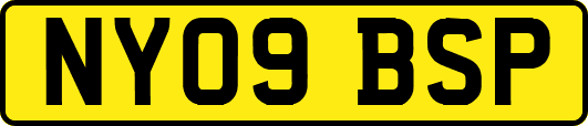 NY09BSP