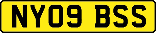 NY09BSS