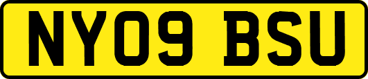 NY09BSU