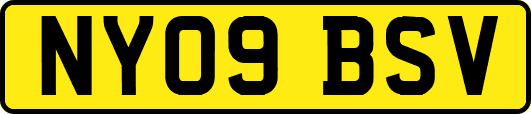 NY09BSV