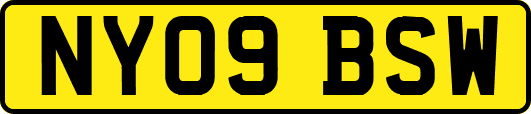 NY09BSW