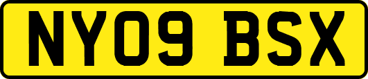 NY09BSX