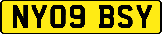 NY09BSY