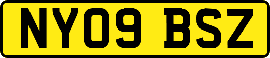 NY09BSZ