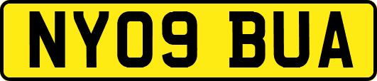 NY09BUA