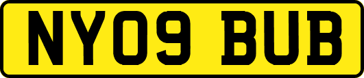 NY09BUB