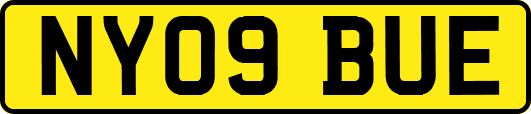 NY09BUE