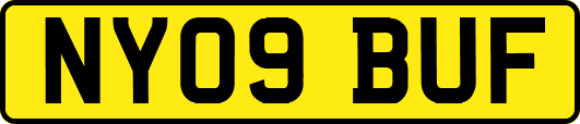 NY09BUF