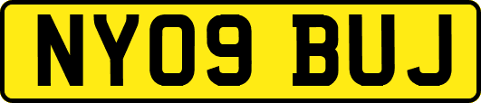 NY09BUJ
