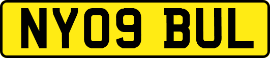 NY09BUL