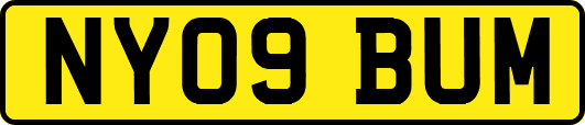 NY09BUM
