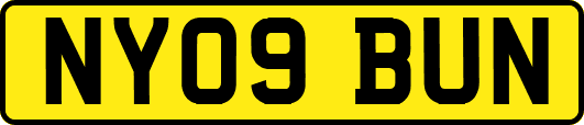 NY09BUN