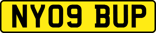 NY09BUP