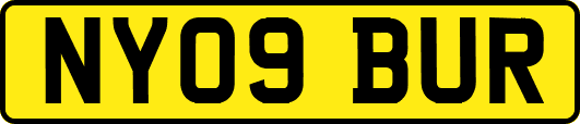 NY09BUR