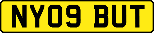 NY09BUT