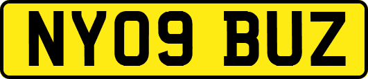 NY09BUZ