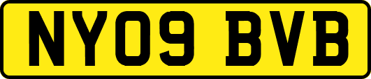 NY09BVB