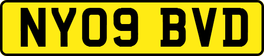 NY09BVD