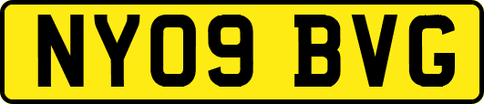 NY09BVG