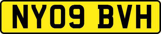 NY09BVH