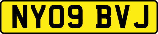 NY09BVJ