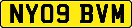 NY09BVM