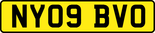 NY09BVO
