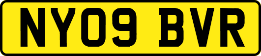 NY09BVR
