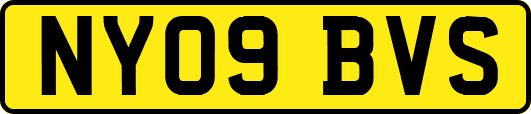 NY09BVS