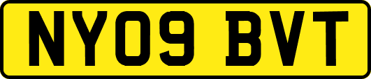 NY09BVT