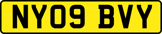 NY09BVY