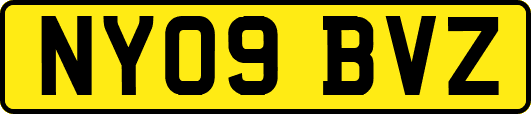 NY09BVZ