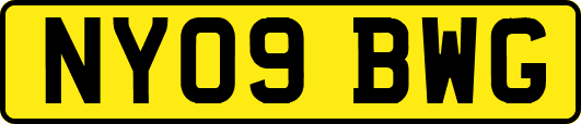 NY09BWG