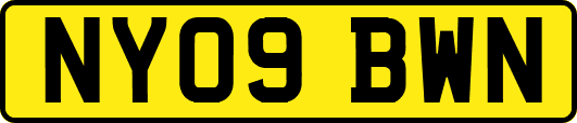NY09BWN