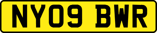NY09BWR
