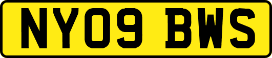 NY09BWS