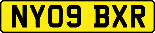 NY09BXR