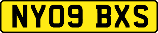 NY09BXS