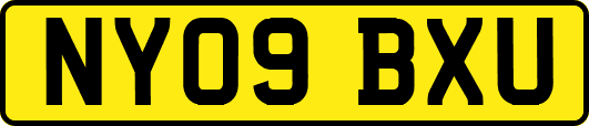 NY09BXU