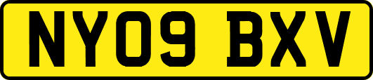 NY09BXV