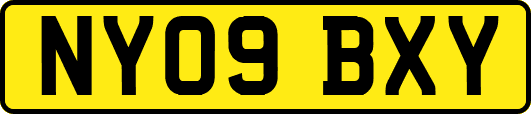 NY09BXY