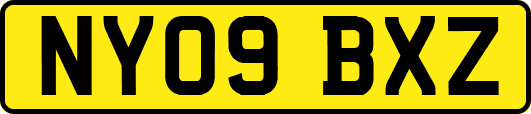 NY09BXZ